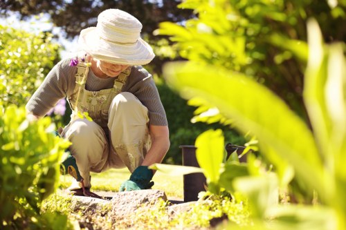 Professional tree inspection of a mature garden tree in Morden
