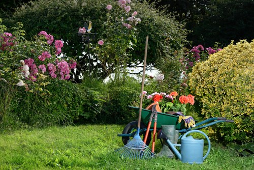 Visual inspection of a mature tree in a Morden garden with nearby access challenges