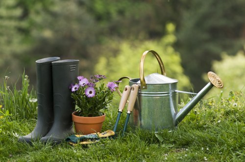 Accessibility requests section for Tree Surgeons Morden website