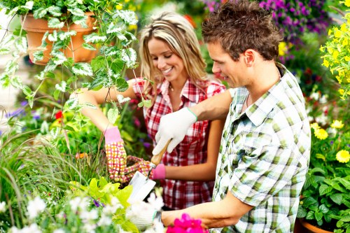 Professional tree surgery for homes and businesses across Morden