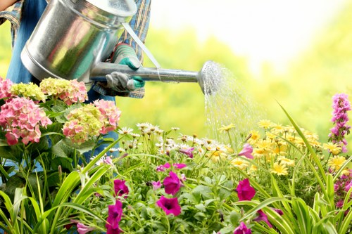 Seasonal hedge maintenance and tidy-up in Morden