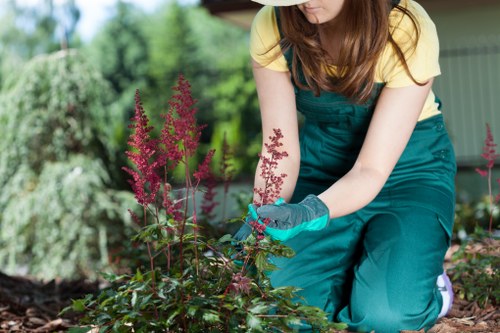 Tree Surgeons Morden secure payment options and card protection