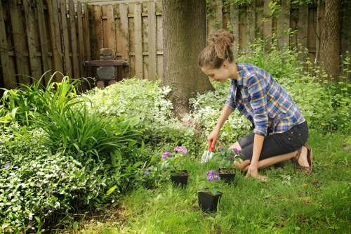 Local hedge cutting service for Morden gardens and properties